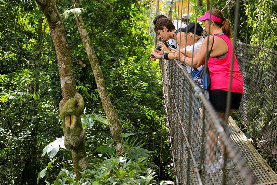 Mistico Arenal Hanging Bridges Park